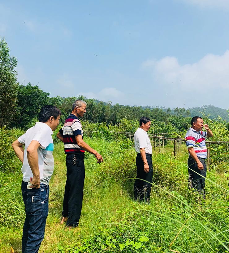 首页- 尊龙集团中国官网入口