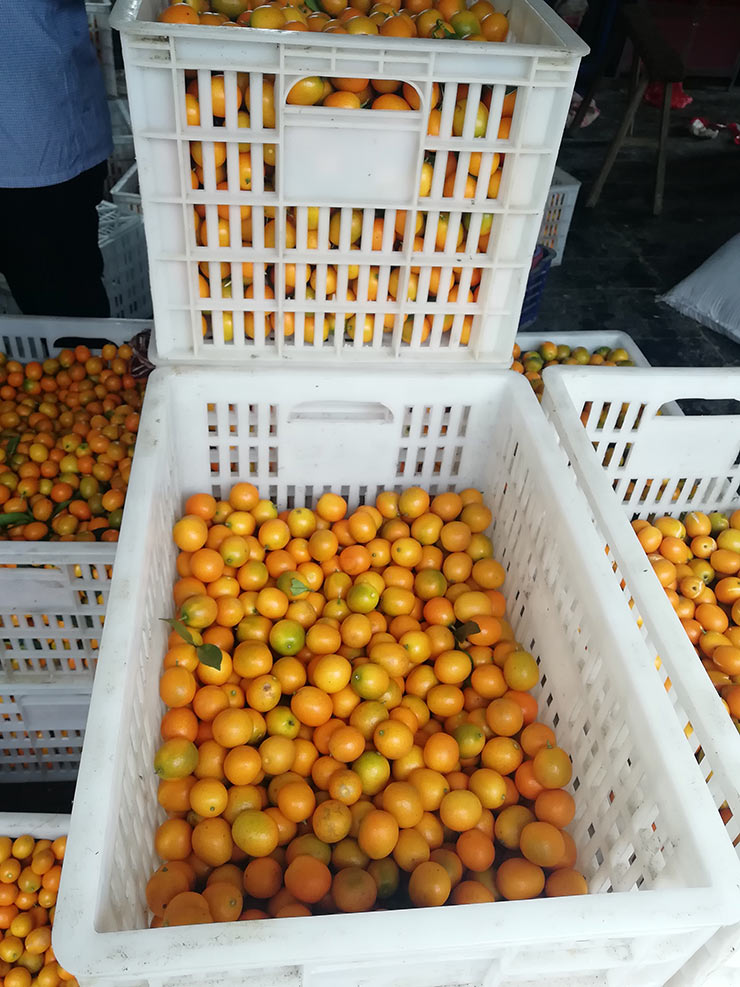 首页- 尊龙集团中国官网入口