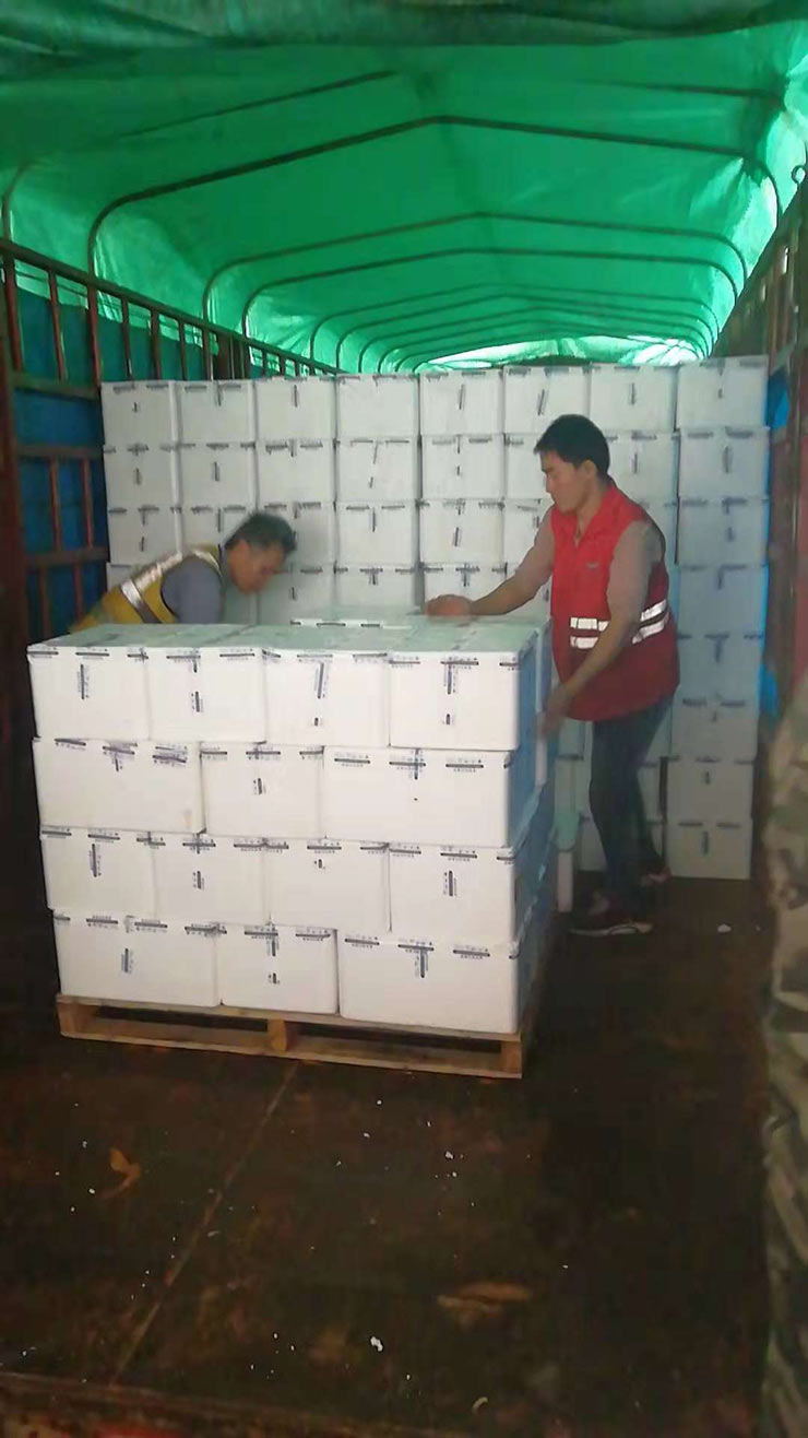 首页- 尊龙集团中国官网入口