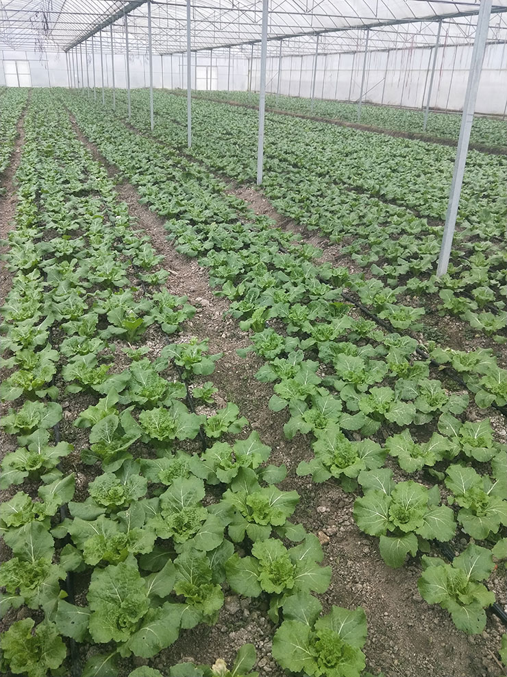 首页- 尊龙集团中国官网入口