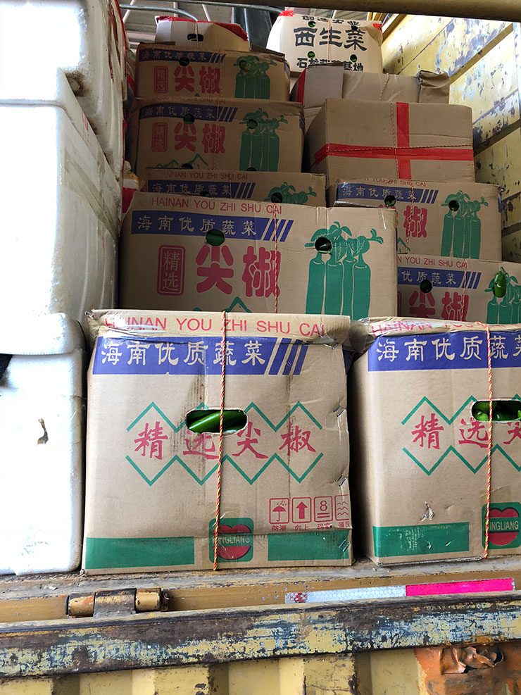 首页- 尊龙集团中国官网入口