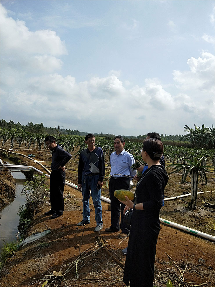 首页- 尊龙集团中国官网入口