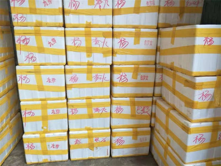 首页- 尊龙集团中国官网入口