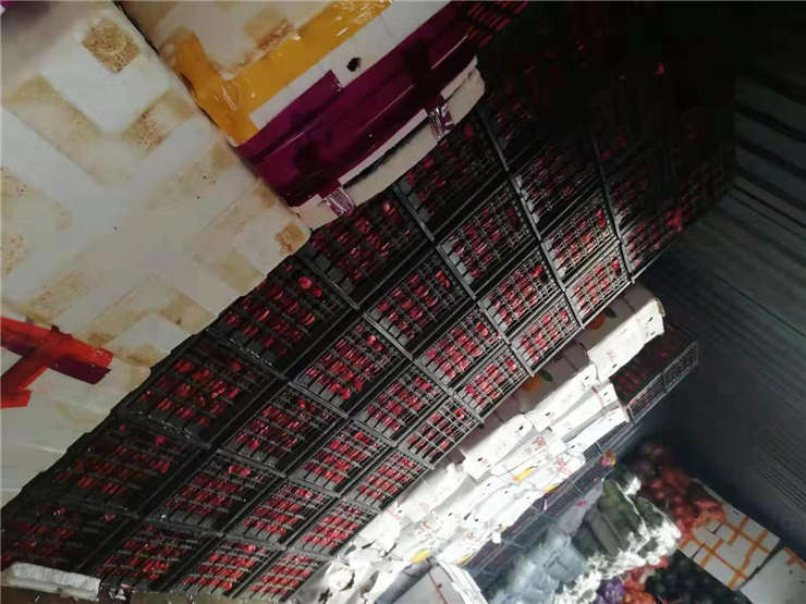 首页- 尊龙集团中国官网入口