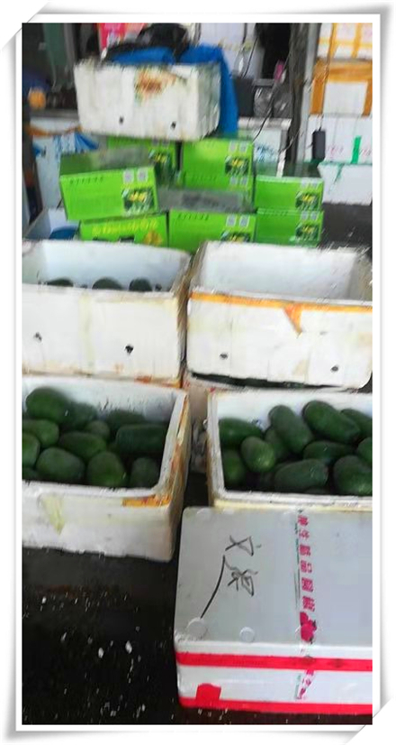 首页- 尊龙集团中国官网入口