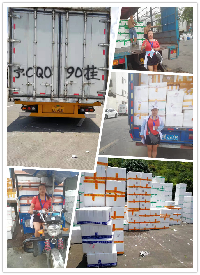 首页- 尊龙集团中国官网入口