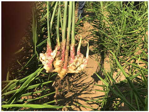 首页- 尊龙集团中国官网入口