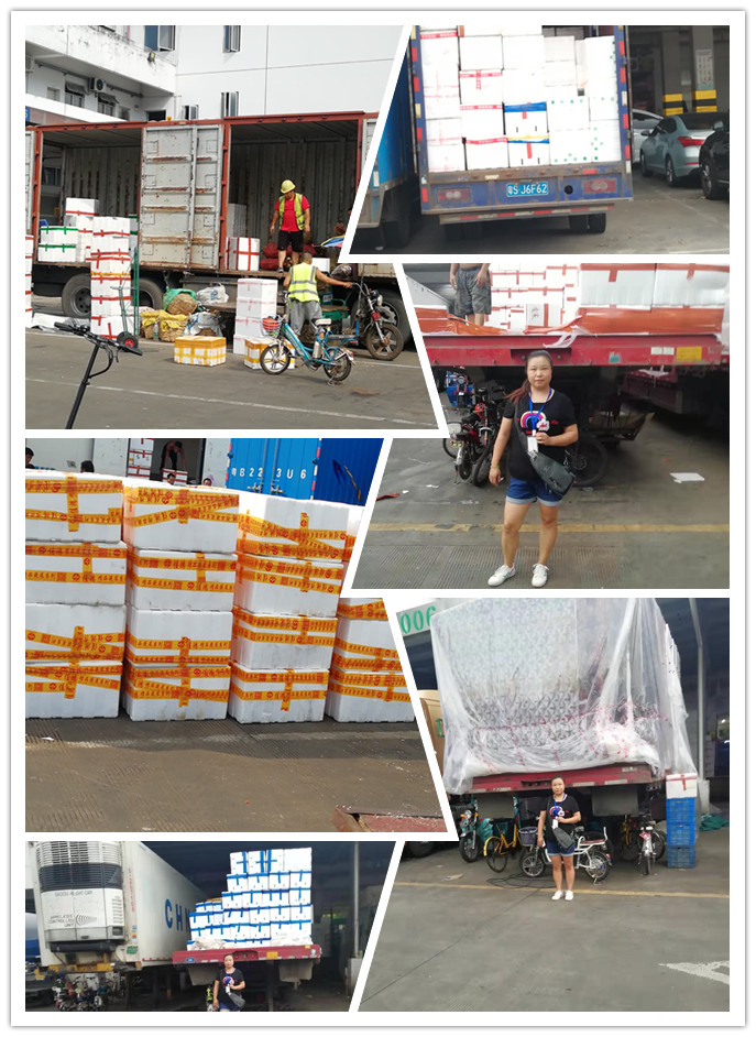 首页- 尊龙集团中国官网入口