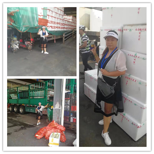 首页- 尊龙集团中国官网入口