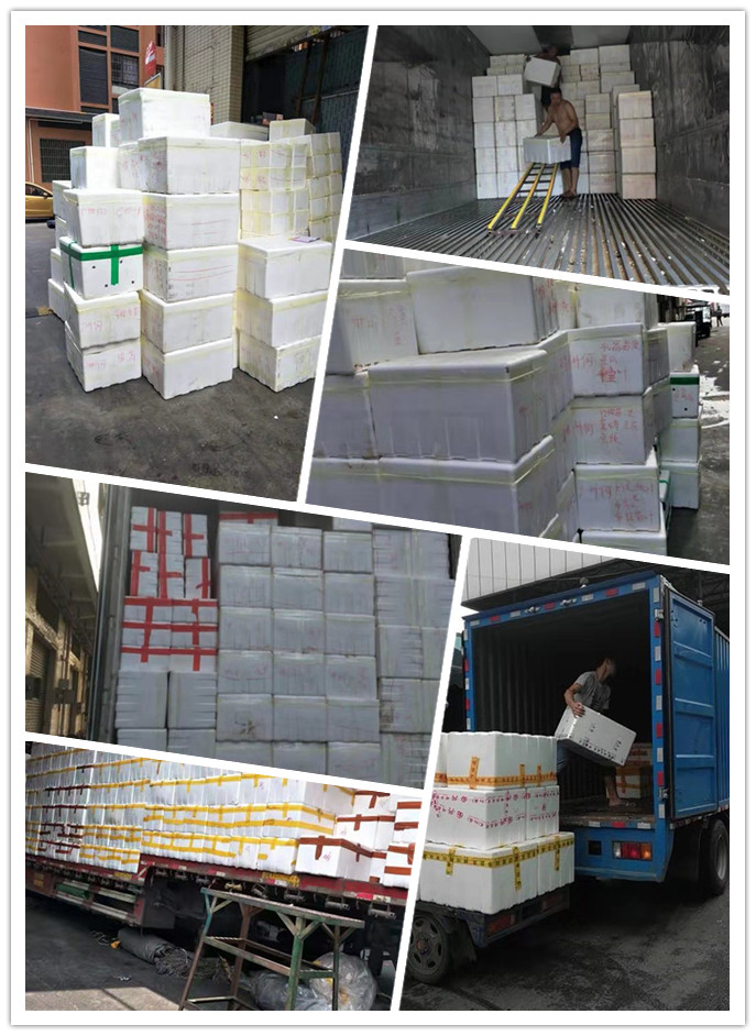 首页- 尊龙集团中国官网入口