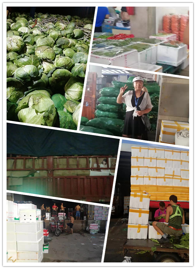 首页- 尊龙集团中国官网入口