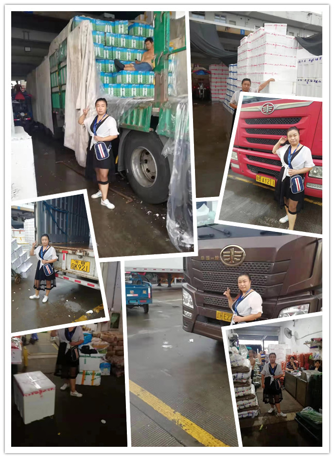 首页- 尊龙集团中国官网入口