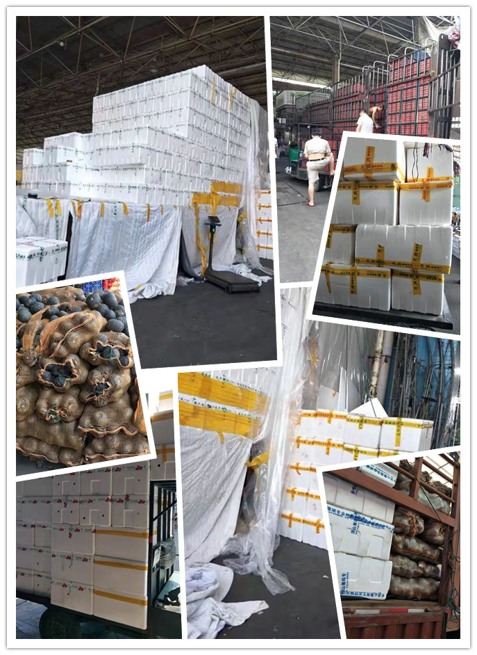 首页- 尊龙集团中国官网入口