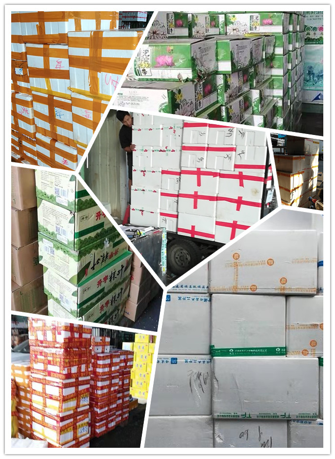 首页- 尊龙集团中国官网入口