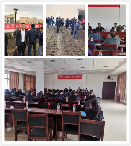 首页- 尊龙集团中国官网入口