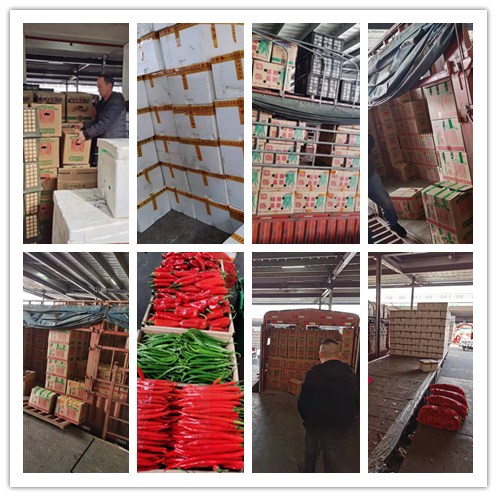 首页- 尊龙集团中国官网入口