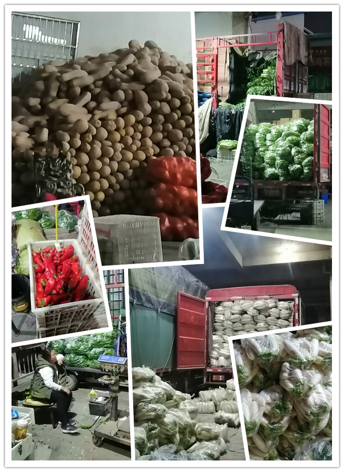 首页- 尊龙集团中国官网入口