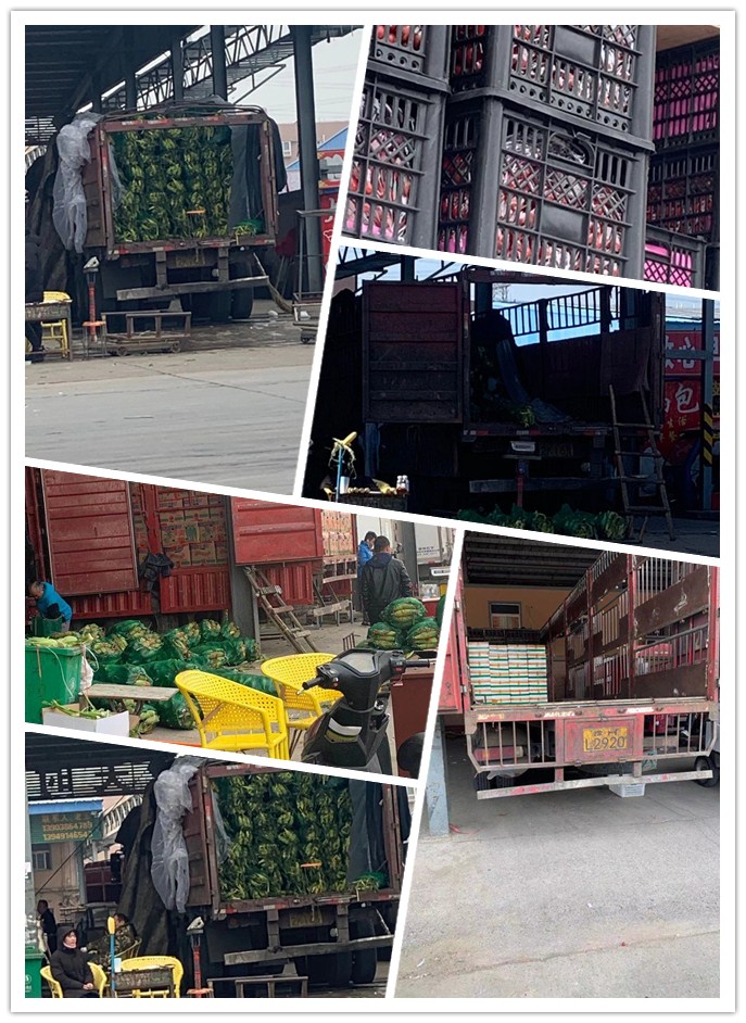 首页- 尊龙集团中国官网入口