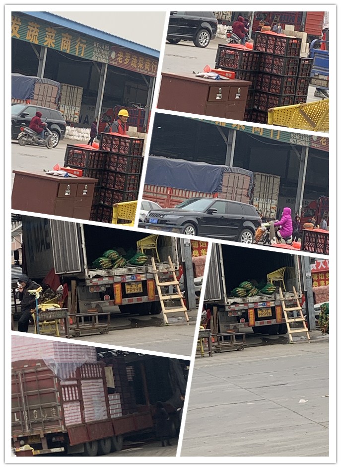 首页- 尊龙集团中国官网入口