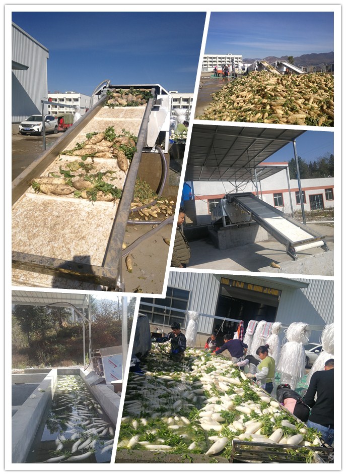 首页- 尊龙集团中国官网入口