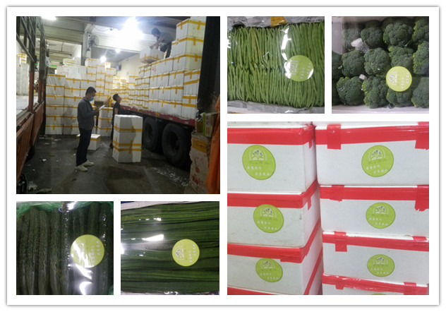 首页- 尊龙集团中国官网入口