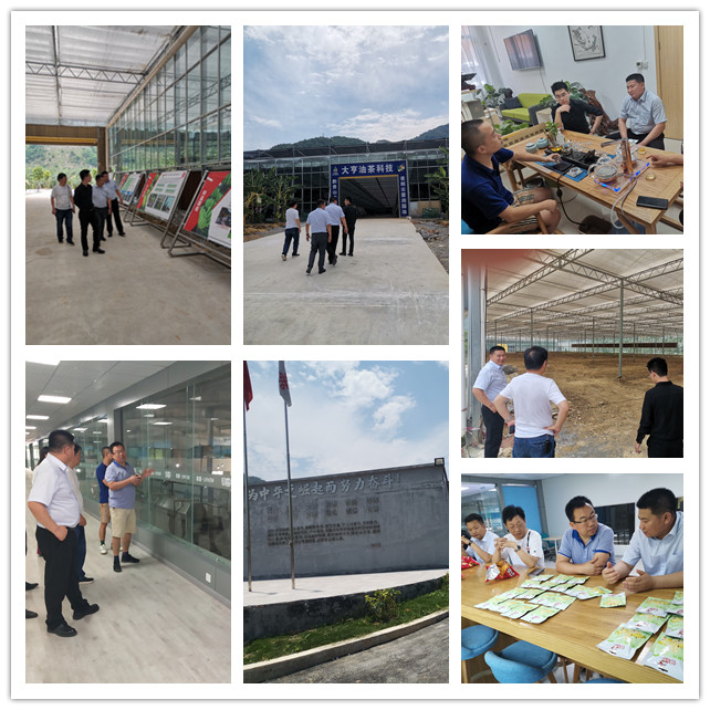 首页- 尊龙集团中国官网入口