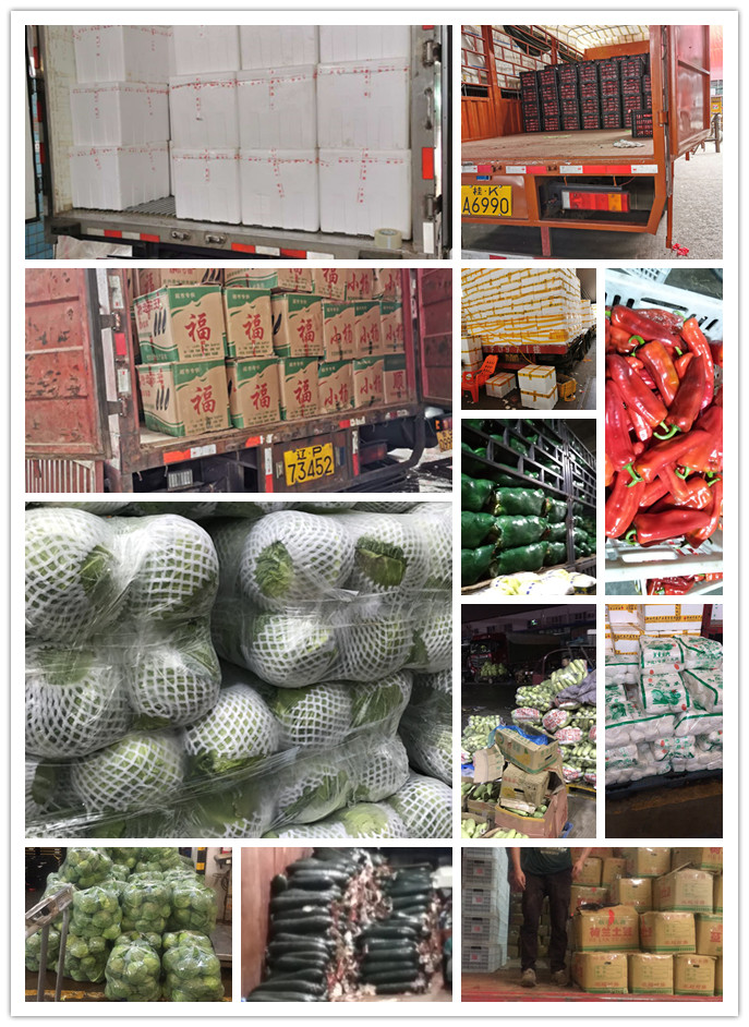 首页- 尊龙集团中国官网入口