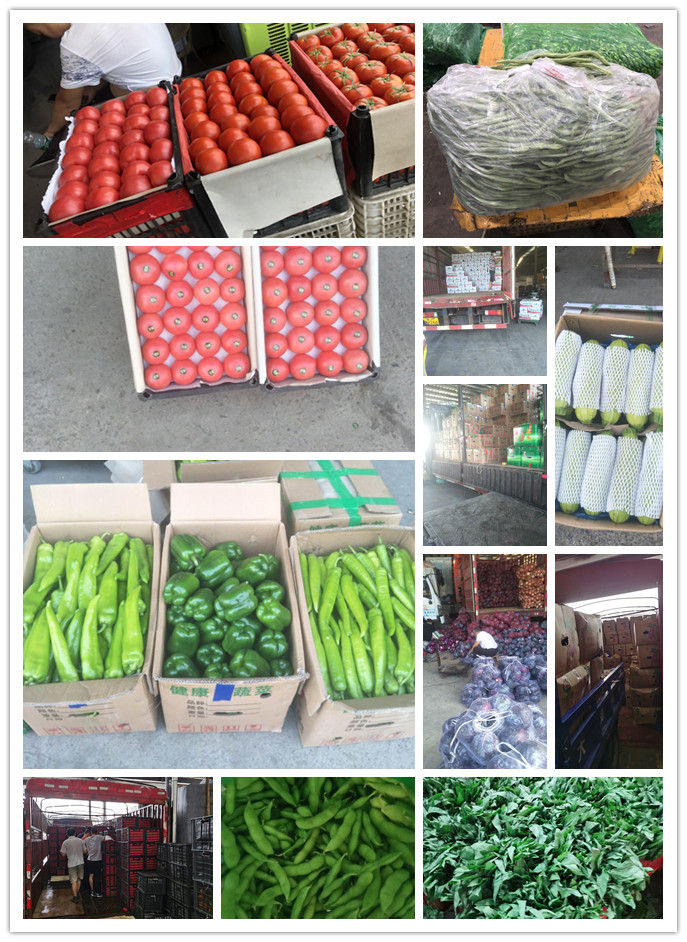 首页- 尊龙集团中国官网入口