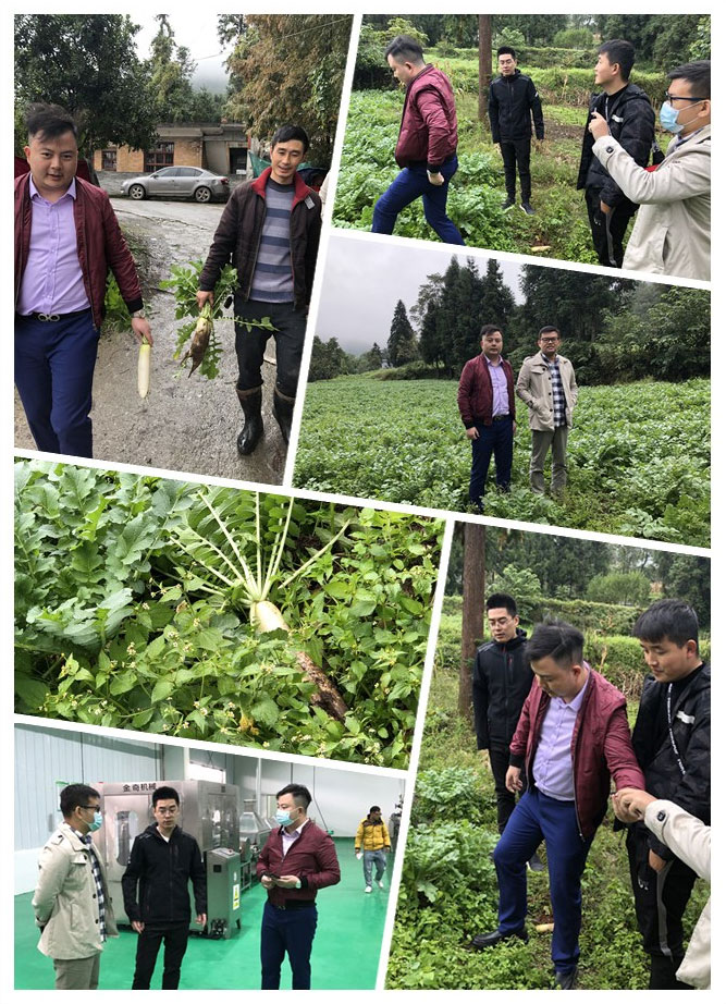 首页- 尊龙集团中国官网入口