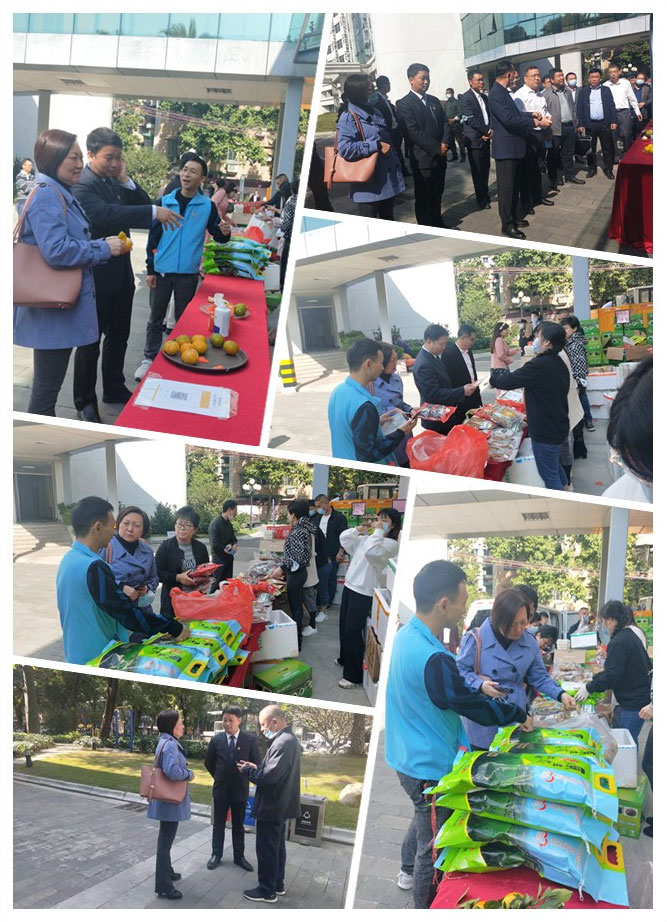 首页- 尊龙集团中国官网入口