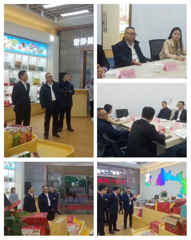 首页- 尊龙集团中国官网入口