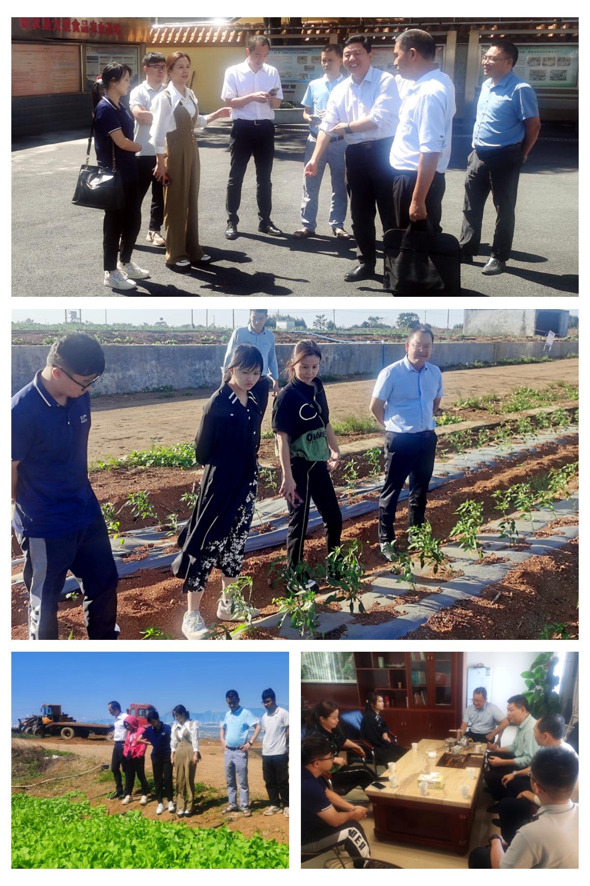 首页- 尊龙集团中国官网入口