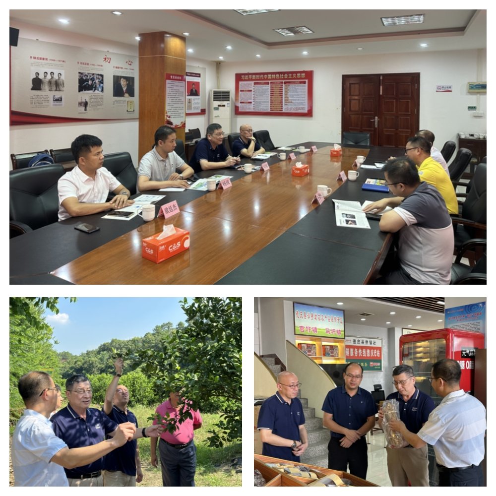 首页- 尊龙集团中国官网入口