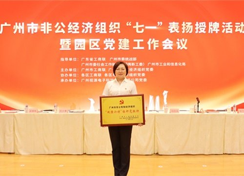 标杆引领，荣誉升级！集团党支部荣膺广州市非公有造经济组织“双强六好”标