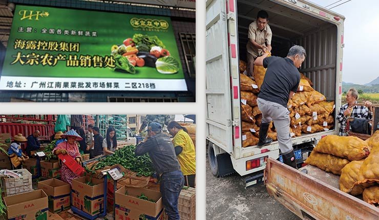 首页- 尊龙集团中国官网入口