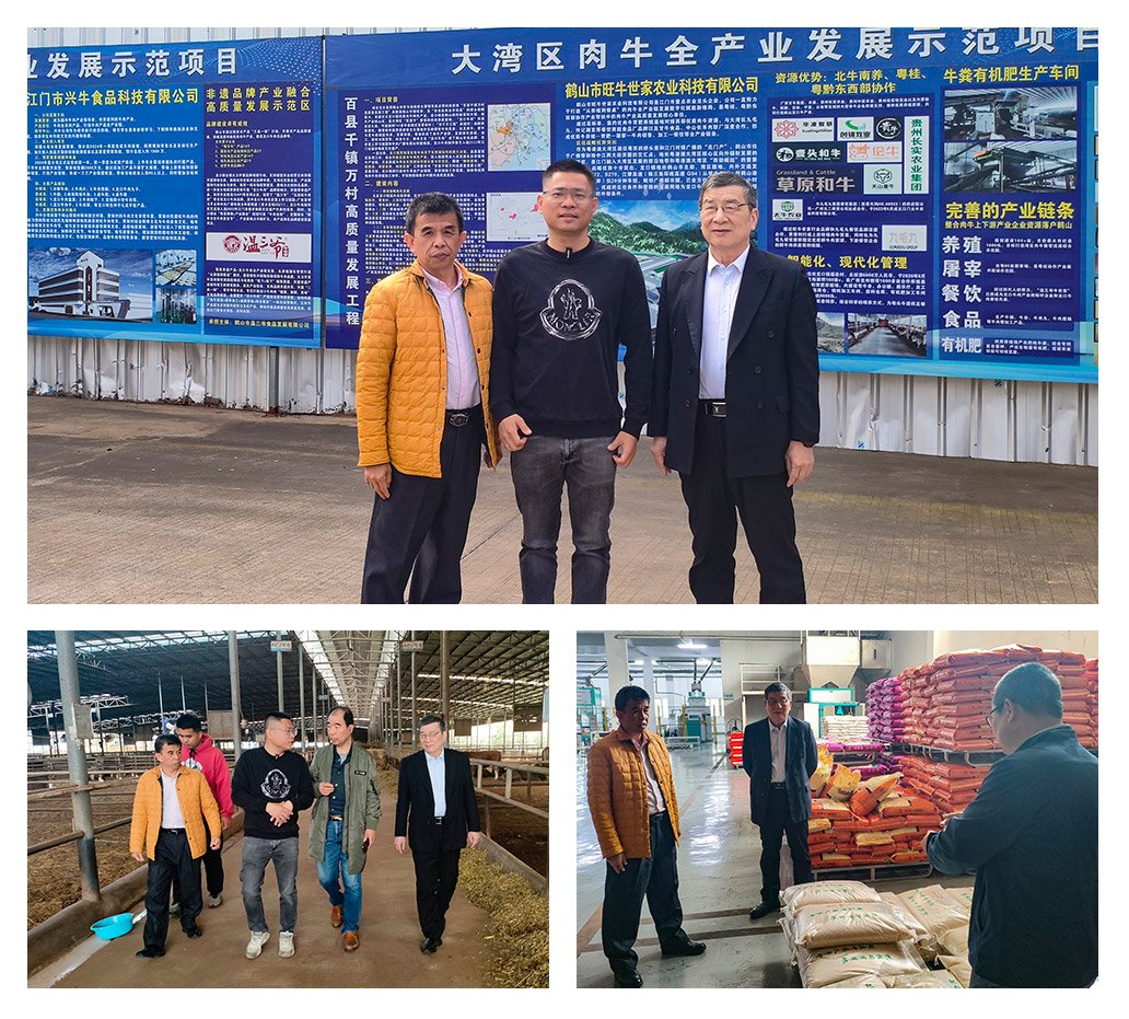 首页- 尊龙集团中国官网入口