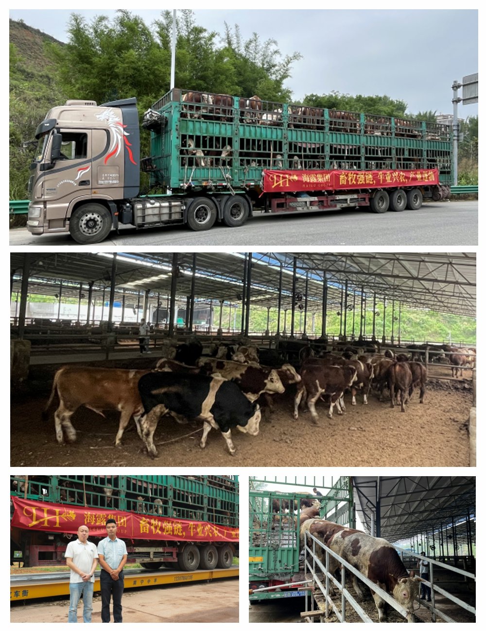 首页- 尊龙集团中国官网入口