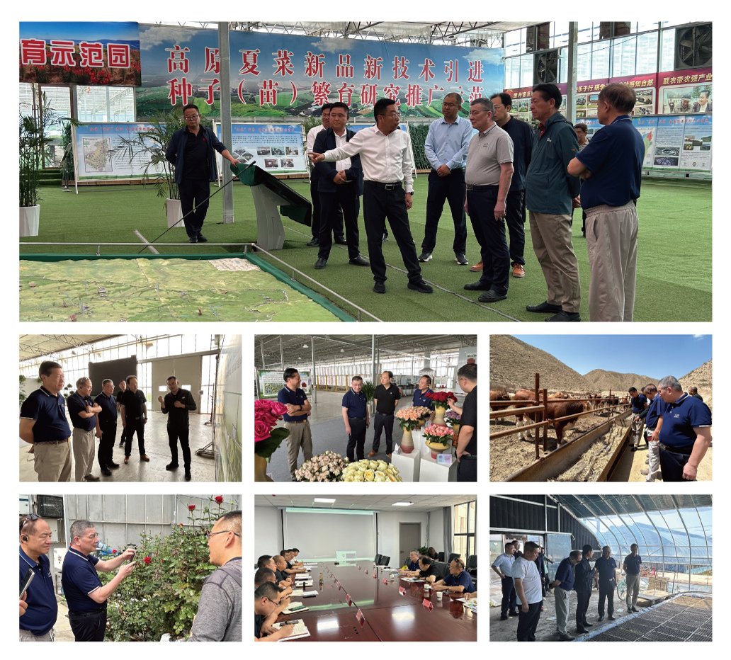 首页- 尊龙集团中国官网入口