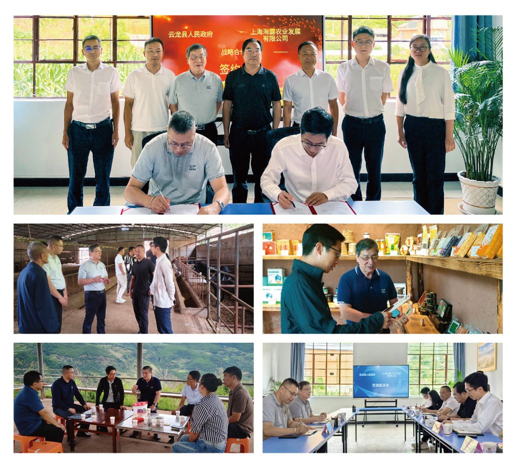 首页- 尊龙集团中国官网入口