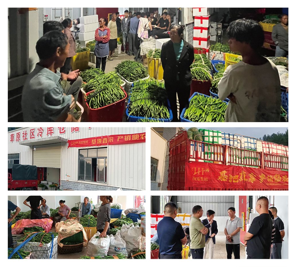 首页- 尊龙集团中国官网入口