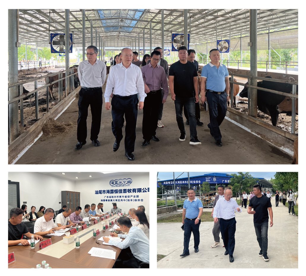 首页- 尊龙集团中国官网入口